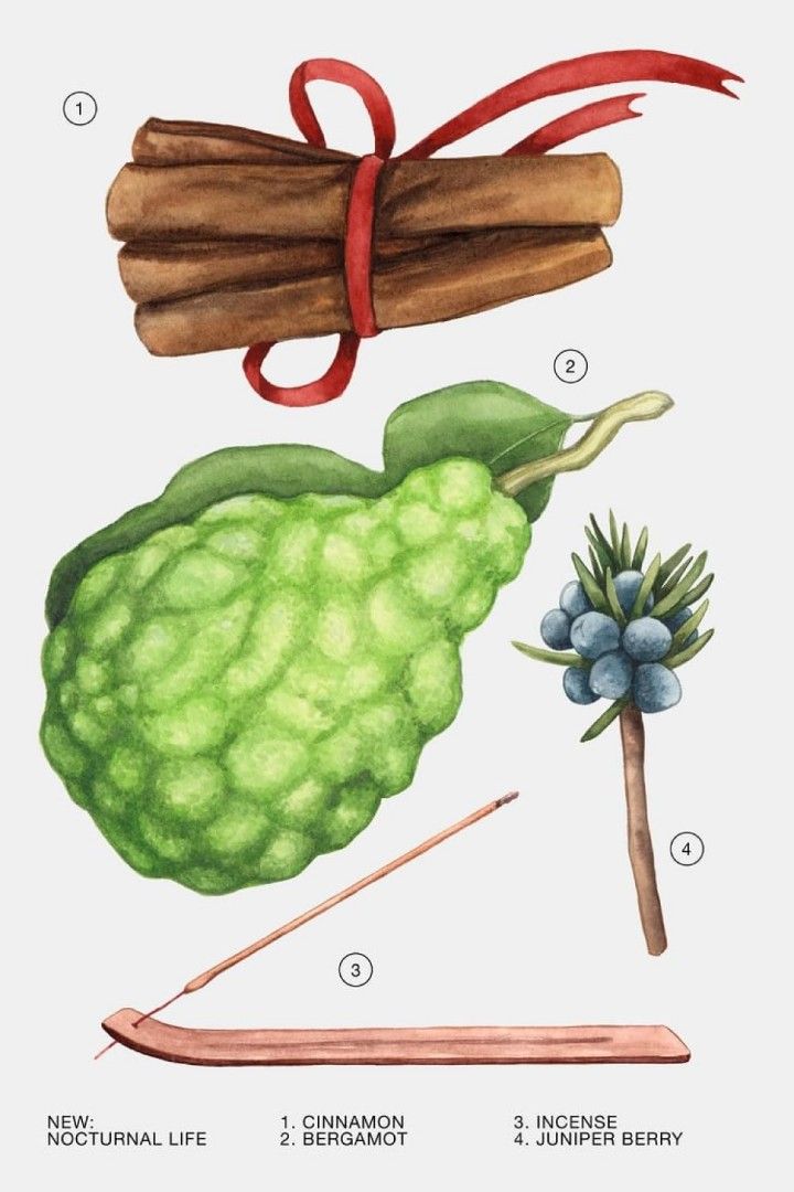 ZARA Nocturnal Life EDP 80ml – Image 5