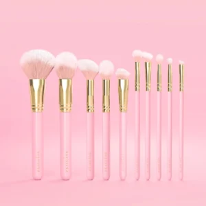 Plouise 10 Piece Full Face Brush Set