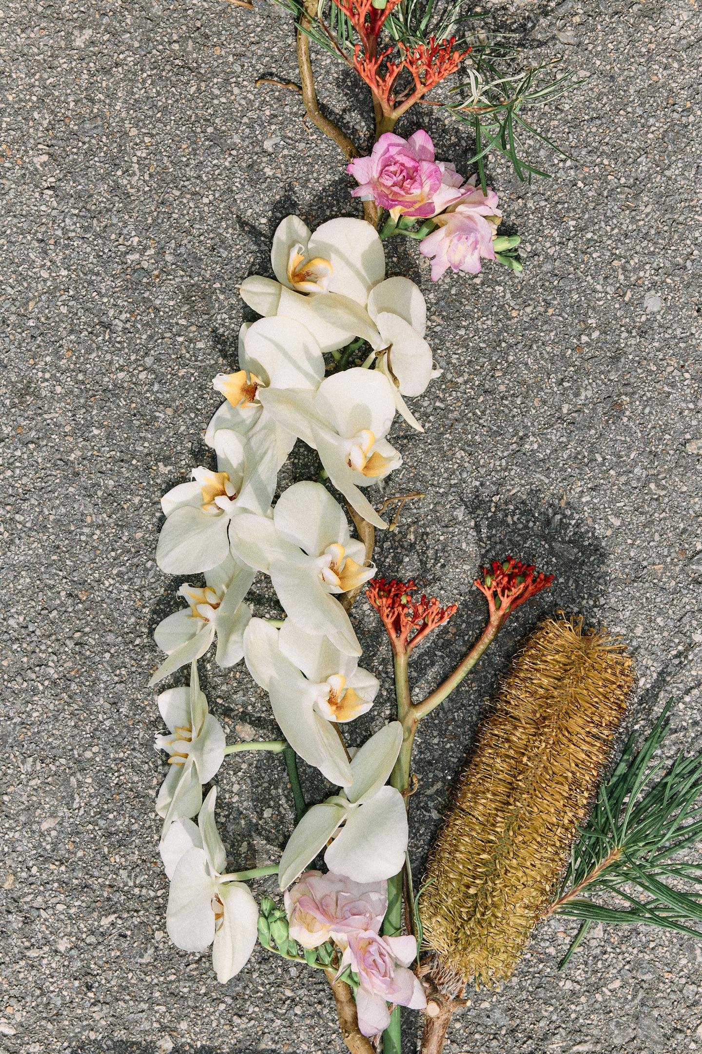 ZARA VANILLA MELT BLOOM EDP – Image 4