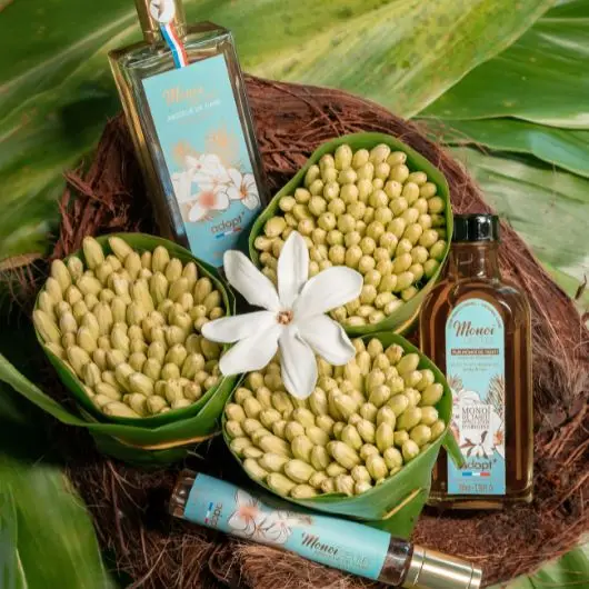 adopt Monoi des iles – Image 5